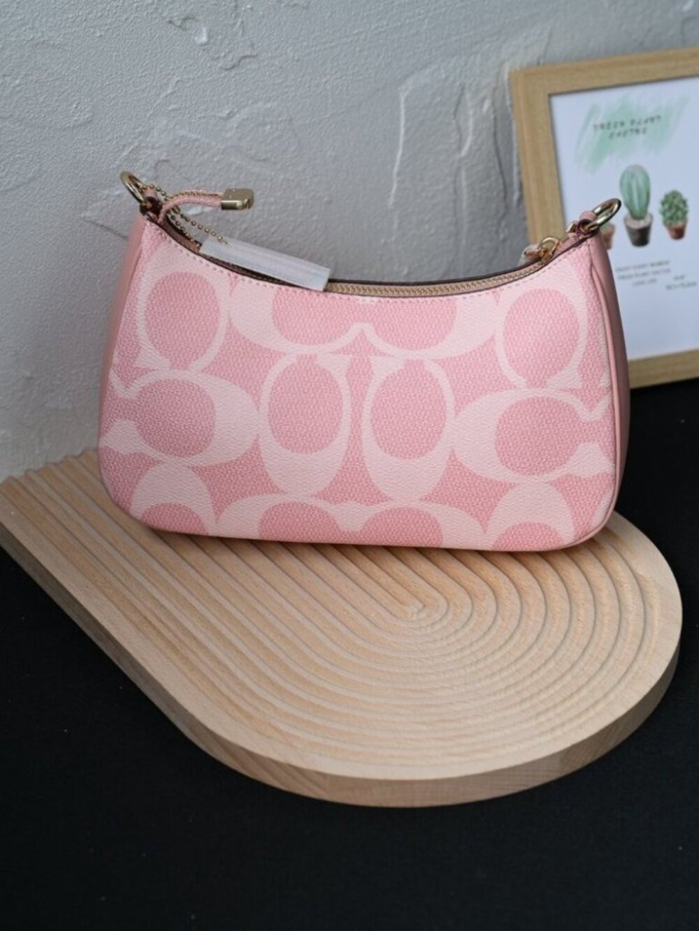 ❤️COACH Teri Shoulder Bag In Signature Canvas CAL51 - Picture 3 of 9